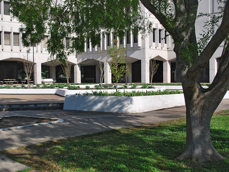 LSU Health New Orleans School of Dentistry